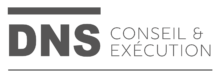 DNS Engineering Logo